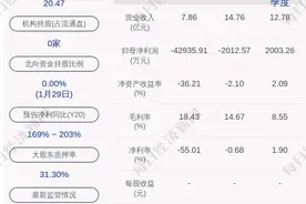 中创环保：关联交易未及时披露，收到深交所监管函图片