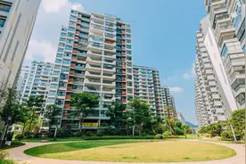 啥情况？深圳6盘齐开，银行却先被挤爆，打新大军排队打征信！网友：这不是买房，这是高考图片