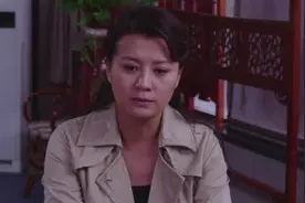 国家审计：小老板做假账被查出，背后黑手竟是他，女处长找他谈话视频封面