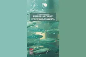 舒伯特最轻快的作品也可以被用来表达阴暗丨夜问图片
