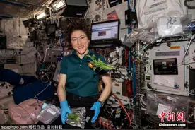 俄宇航员断粮后俄求美飞船帮运食物，NASA这样回复……图片