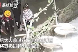 家长带孩子给动物投喂带签烤肠？！网友怒了图片