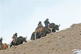 永远的“帕米尔雄鹰”：塔吉克族护边员拉齐尼·巴依卡图片