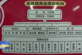 灵石县翠峰镇商会荣获2019-2020年度全国“四好”商会称号视频封面