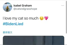 今天，推特热搜第一：拜登撒谎！但点进去都是猫猫狗狗图片