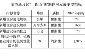 临港住房“十四五”规划：预计新增供应各类住房约20万套图片