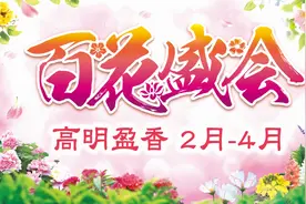 “油菜花节”升级为百花盛会，盈香生态园邀你佛山过大年图片