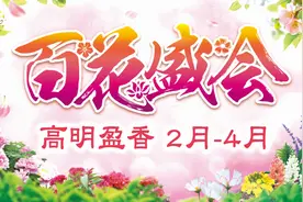 “油菜花节”升级为百花盛会，盈香生态园邀你佛山过大年图片