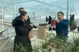 冬游文昌，一起摘草莓、赏国兰、逗小虎——文昌湖冬日嘉年华活动开启图片