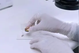 马斯克透露脑机接口进展：猴子玩视频游戏视频封面