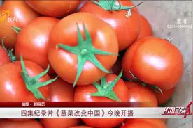 从寿光出发!纪录片《蔬菜改变中国》震撼开播,回溯冬暖式大棚起源视频封面