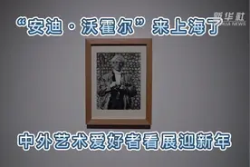 “安迪·沃霍尔”来上海了 中外艺术爱好者看展迎新年视频封面