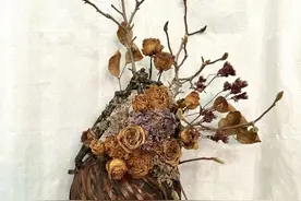 孙俪的“白玉兰花骨朵”制成了干花，现实中的它们正静待春天图片