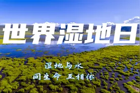 中国在三江源全力保护“地球之肾”图片