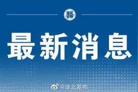 25日0点湖北两座长江大桥通车图片