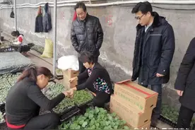 菏泽“第一书记”万广鑫：“选择了这里，就为老百姓办实事”图片