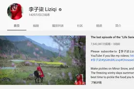 创下“YouTube中文频道最多订阅量”吉尼斯纪录的李子柒，凭什么红遍海外？图片
