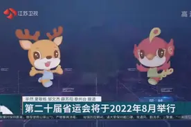吉祥物萌趣亮相！第二十届江苏省运会将于2022年8月举行视频封面