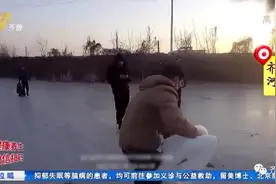 山东：天鹅伴侣死亡后，另一只竟绝食“殉情”……图片