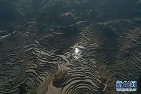 浙江：云和梯田美图片