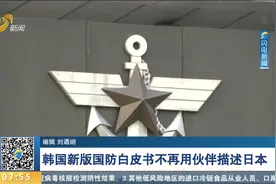韩国防部发布《2020国防白皮书》：日本从“伙伴”降为“邻国”视频封面