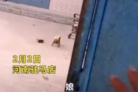 兄弟4人争着赡养！哥嫂“偷走”90岁老母亲，弟弟上门“理论”图片