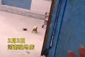 兄弟4人争着赡养！哥嫂“偷走”90岁老母亲，弟弟上门“理论”图片