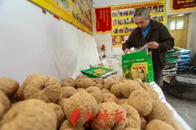 网络中国年·年味看济南 | 二十三，糖瓜粘，地道糖瓜莱芜产图片