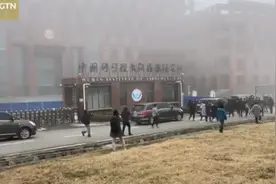 世卫专家组走访武汉病毒研究所，成员称这一点“挺讽刺”图片