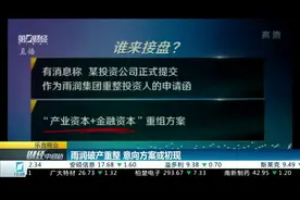 乐言商业丨雨润破产重整 意向方案或初现视频封面