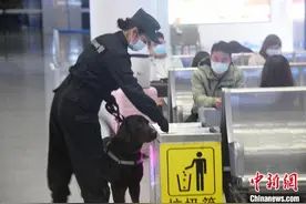 春运女警故事：警察夫妻因犬相爱 视警犬如“亲人”图片