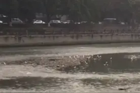 云投诉｜河道内出现“垃圾堆”？管理部门回应：核查后视情况安排处理图片