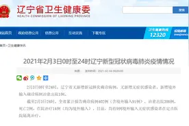 重要通知！沈阳乘南航飞往三亚这种情况无法登机图片