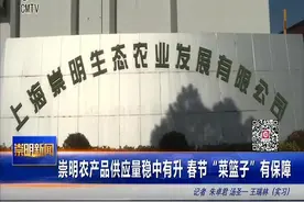 崇明农产品供应量稳中有升 春节“菜篮子”有保障视频封面