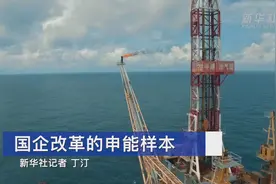 国企改革的申能样本视频封面