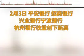 中国财富报道|6只银行股创新高！巴菲特门徒开始布局视频封面
