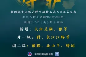 新版国家重点保护野生动物名录公布，新增517种（类）野生动物图片