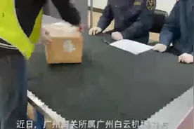 广州海关查获一起违规寄递进境濒危植物沉香木图片