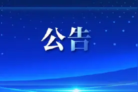 天津发布8月小客车摇号结果 个人普通车指标10215个图片