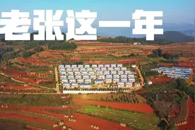 老张这一年：播种视频封面