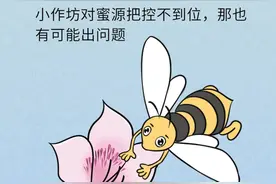 别乱吃了，蜂蜜的神奇的功效就这一个图片