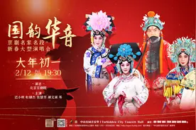 赏景赏乐年味儿倍增 精彩演出陪你过大年图片