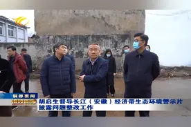 胡启生督导长江（安徽）经济带生态环境警示片披露问题整改工作图片