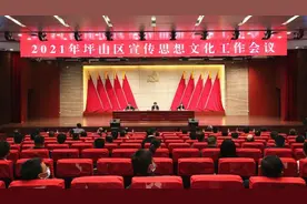 坪山：打造独具特色和影响力的东部文化高地图片