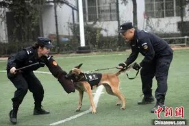 铁路女警因犬成就浪漫姻缘 将丈夫引上训导警犬之路图片