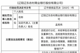 辽阳辽东农商行被罚120万元：违规使用信贷资金入股图片