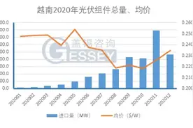 越南2020年十大组件企业出货排行出炉：晶科晶澳隆基前三图片