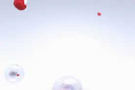 《一站到底》人气选手重返答题场图片