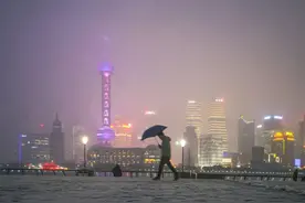 上海的冬天，骨骼清奇中美丽冻人图片