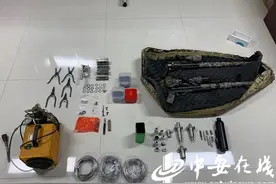 “新狗”、“进口货”竟是枪支买卖暗语 合肥警方打掉2个网络贩枪团伙_中安在线图片